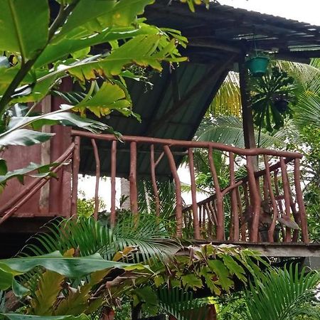 Sigiri Panaromic Tree House Villa Sigiriya Buitenkant foto