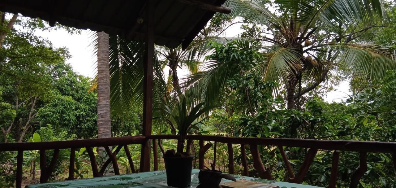 Sigiri Panaromic Tree House Villa Sigiriya Buitenkant foto