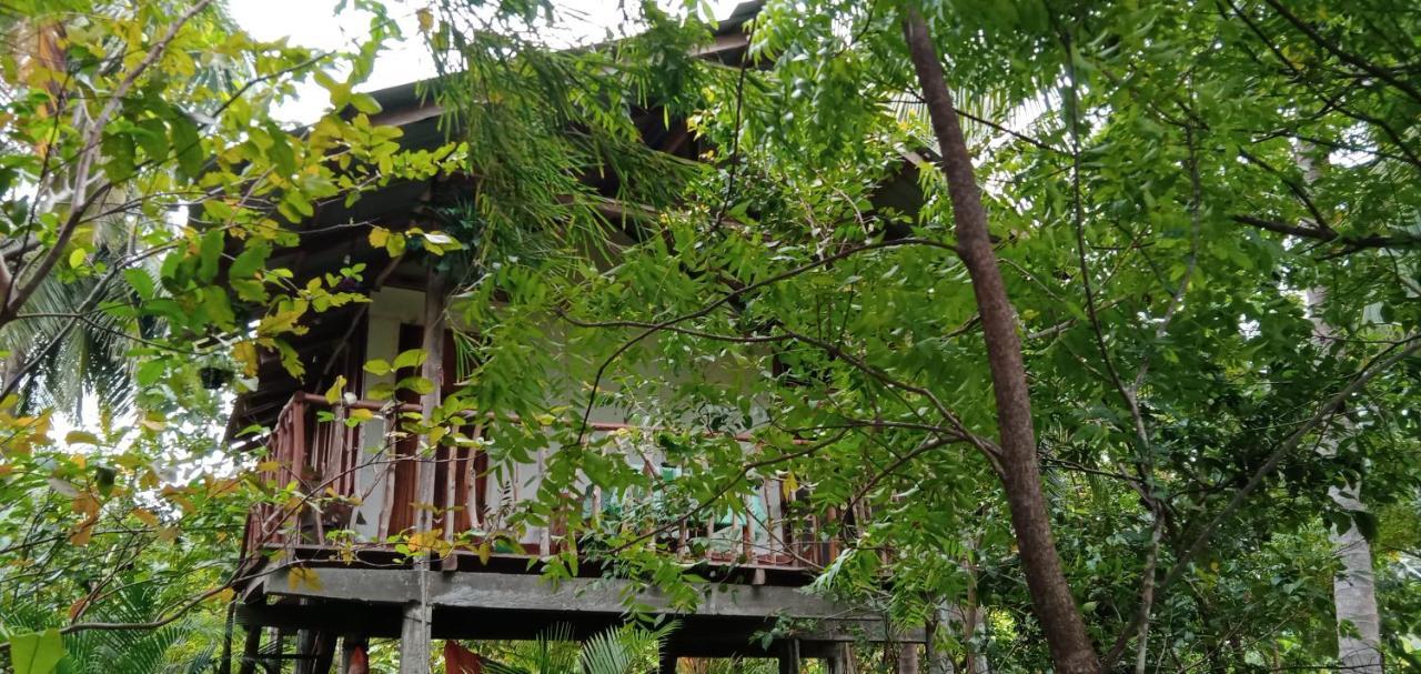 Sigiri Panaromic Tree House Villa Sigiriya Buitenkant foto