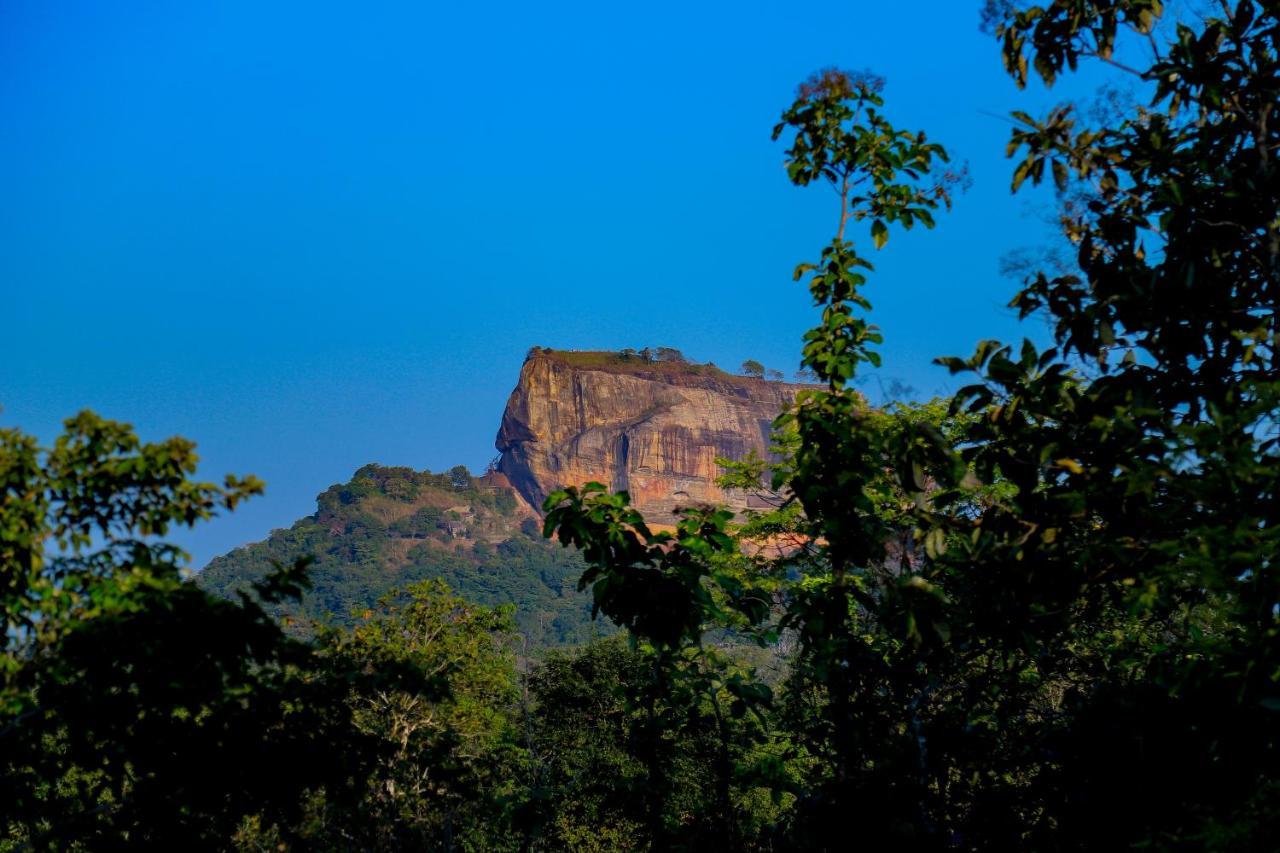 Sigiri Panaromic Tree House Villa Sigiriya Buitenkant foto